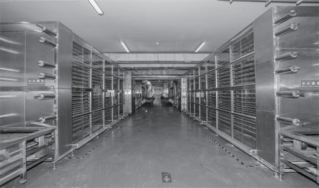 大連弘潤 以“品質力量”加冕，無麩質有機面如何重塑行業標桿與市場格局